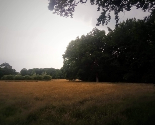 Zondagmiddag wandeling