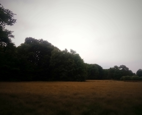 Zondagmiddag wandeling