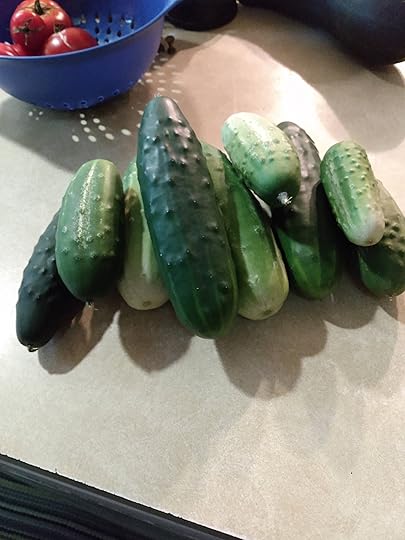 Cucumbers in Battle Formation
