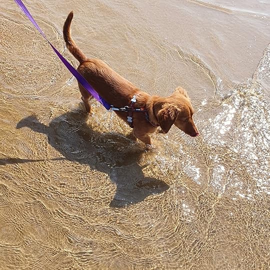 Took the day off yesterday and headed to the beach! 