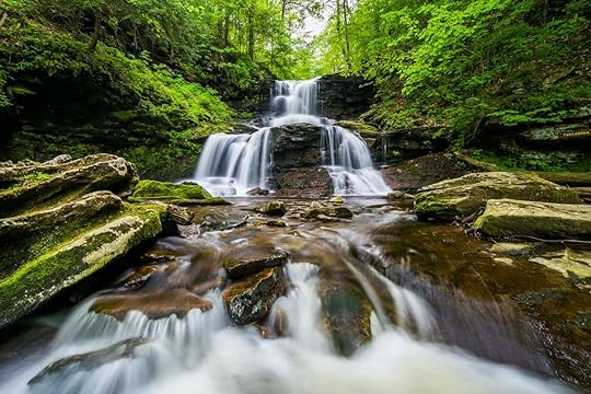 Tuscarora,Falls,,At,Ricketts,Glen,State,Park,,Pennsylvania.