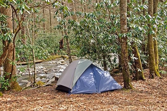 Campsite,On,Cabin,Creek,In,The,Great,Smoky,Mountains