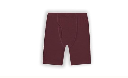ibex-tech-baselayer-boxers-fall-camping-gear