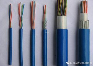 博猫娱乐客户端下载