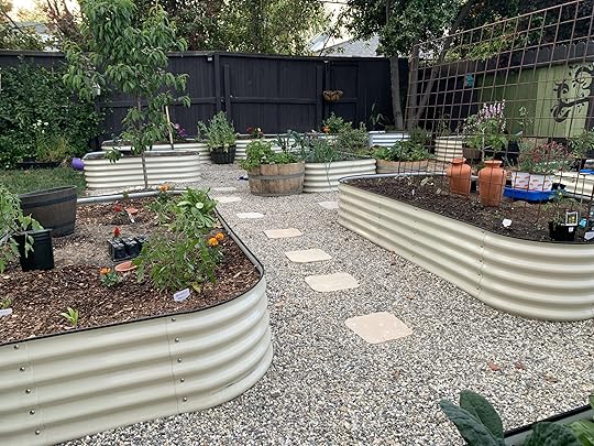 multiple vego garden beds in a backyard garden