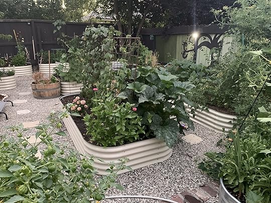 multiple vego garden beds in a backyard garden