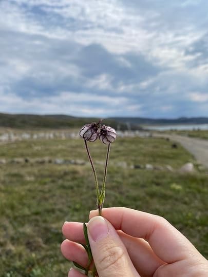 Coping with marriage in the Arctic