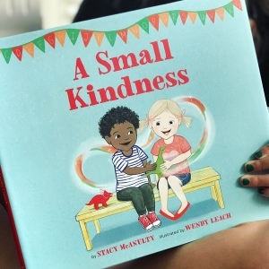https://thebabybookwormblog.wordpress.com/2021/08/19/a-small-kindness-stacy-mcanulty/