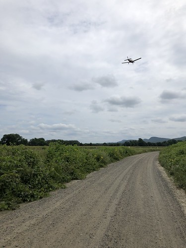 the plane, the plane