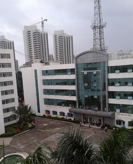 Sha Li says, “In real life, I stayed at this hotel owned by the PLA (Peoples Liberation Army) when I was attending the CAFIC Conference in Hainan. The top two floors, 5th and 6th, are reserved for government and military officers and are the only fl…