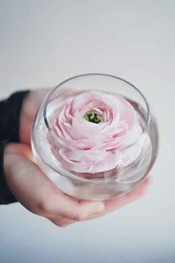 crop unrecognizable woman holding vase with pink ranunculus