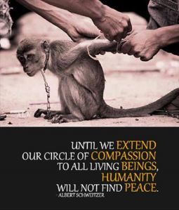 Humanity