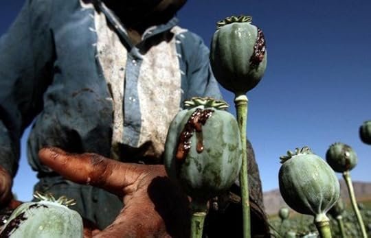 The Taliban bans the cultivation and production of narcotics in Afghanistan