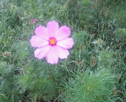 Monnikenberg Wandeling