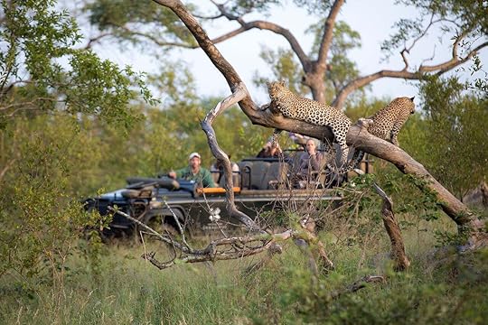 African-safari-with-family-Londolozi-animals