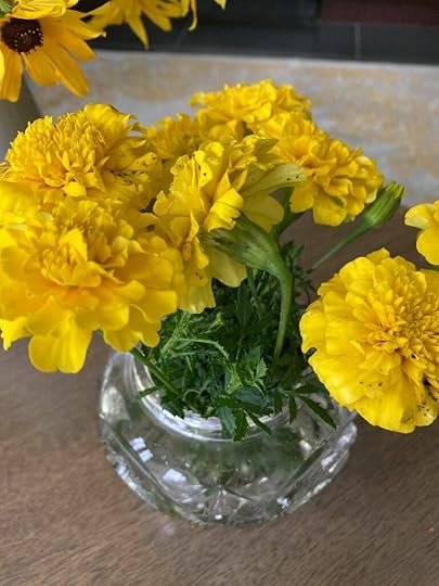 A Gardener's Beginnings: Another Chapter In My Story