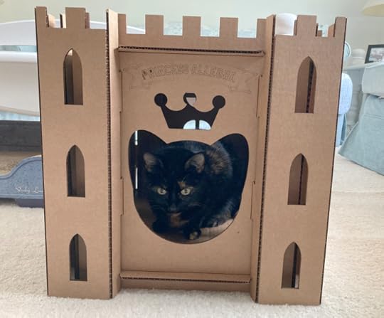 cardboard-cat-castle