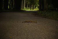 Photo by Michael Embry