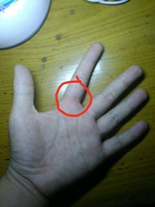 博猫娱乐客户端下载