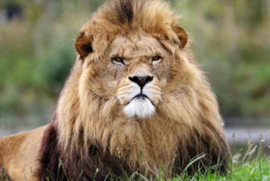 Image sourced from Pixabay. CC0 License