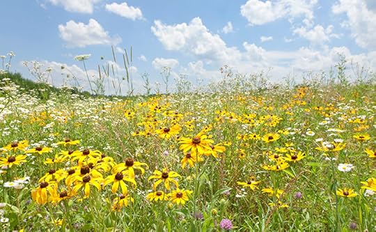 country flowers