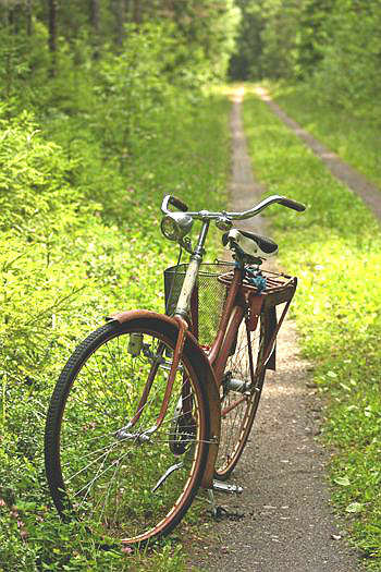 old bike 2