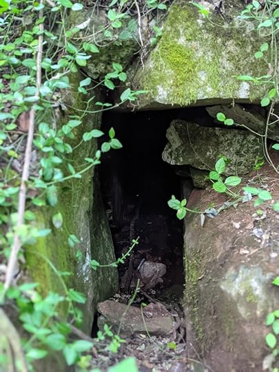 moss covered boulders frame dark, tiny cave