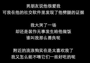 博猫娱乐客户端下载