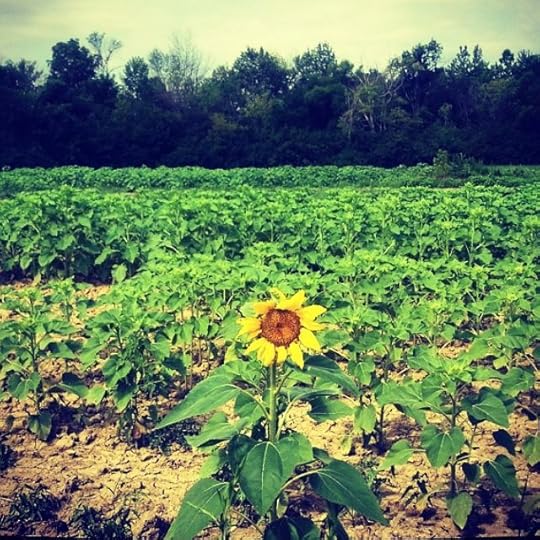 on Awareness - Especially Self-Awareness