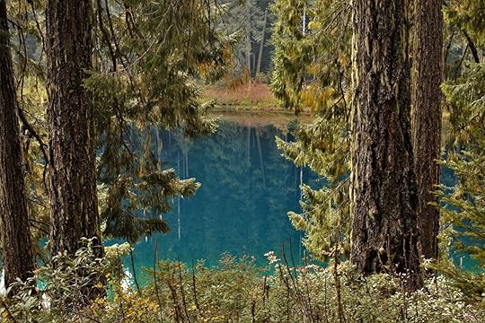 View framed by trees of Clear Lake, Oregon