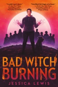bad witch burning book cover