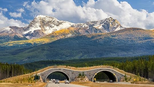 Wildlife crossing overpass on Trans Canada Highway in Banff National Park, with mountain backdrop