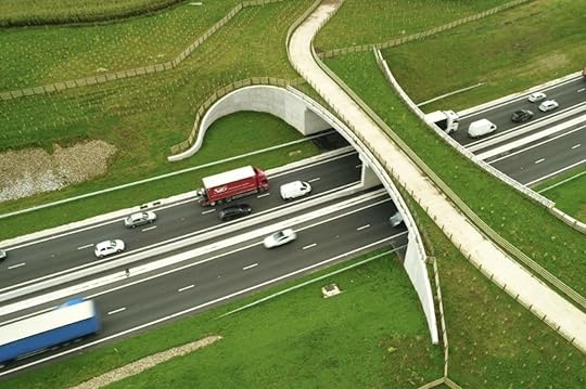 Aerial view of a grassy wildlife crossing bridge over a highway in the UK