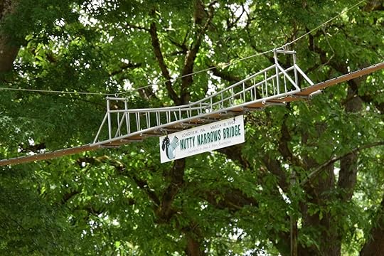 Nutty Narrows Bridge wildlife crossing for squirrels across treetops in Washington state 