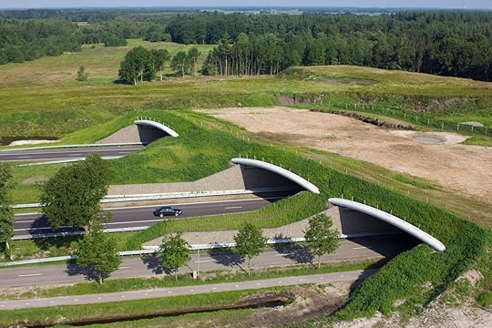 Aerial view of a animal or wildlife overpass crossing a highway