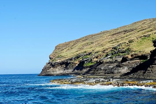 Niihau,Bird,Sanctuary,,Kauai,,Hawaii,,Usa
