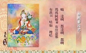 博猫娱乐官网
