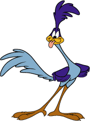 roadrunner