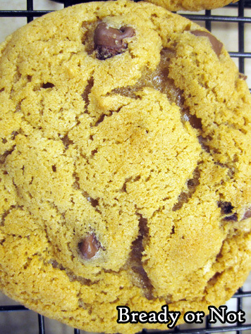 Bready or Not Original: Chewy Cookie Butter Chocolate Chip Cookies