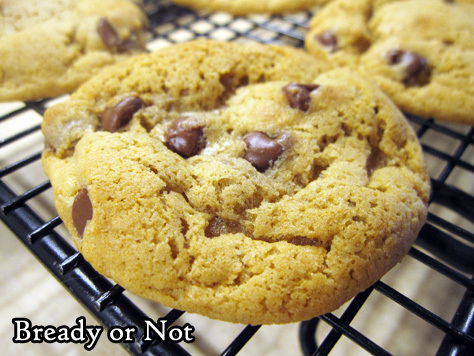 Bready or Not Original: Chewy Cookie Butter Chocolate Chip Cookies