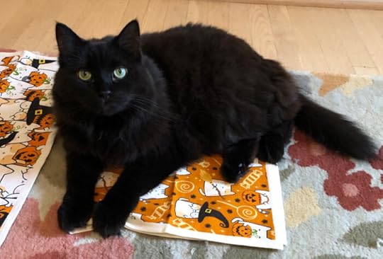 halloween-cat-towels
