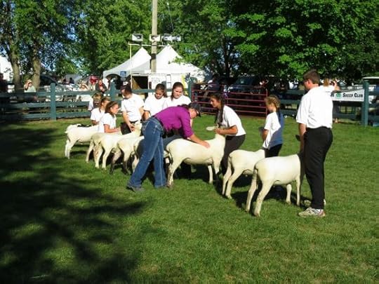 showing at the Fair # 3