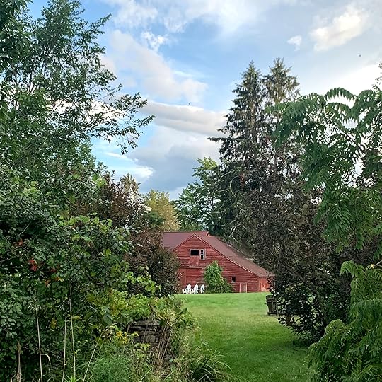 September 2021 Freedom update