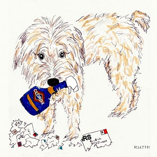 Mr Magoo - Raising a puppy 