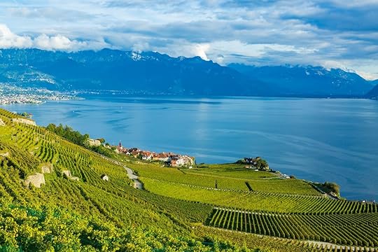 The Vineyard Terraces of Lavaux in Switzerland