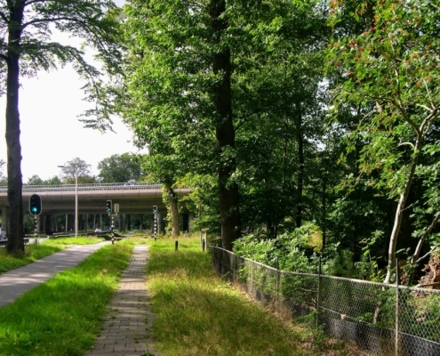 Wandeling door het Pijnenburg bos en Monnikenberg