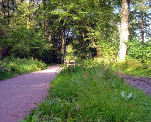 Wandeling door het Pijnenburg bos en Monnikenberg