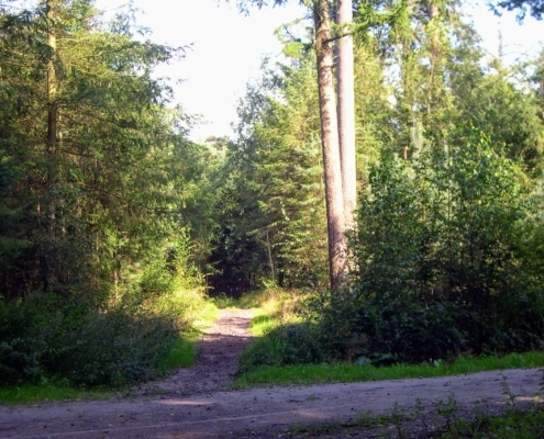 Wandeling door het Pijnenburg bos en Monnikenberg