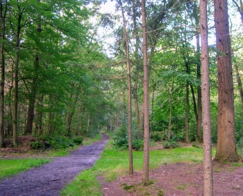 Wandeling door het Pijnenburg bos en Monnikenberg