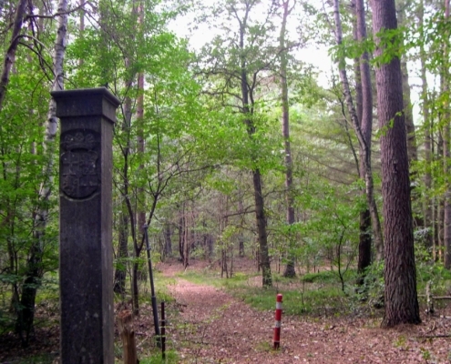 Wandeling door het Pijnenburg bos en Monnikenberg